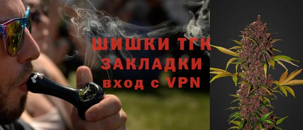 гидра Горнозаводск