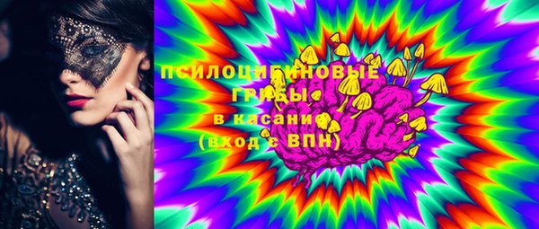 ALPHA PVP Гусев