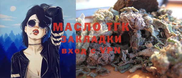 гидра Горнозаводск