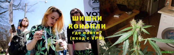 гидра Горнозаводск