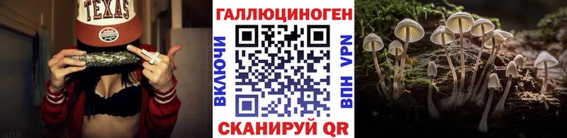 Галлюциногенные грибы мицелий  Купить  Кирс 